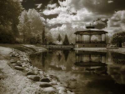 Challenge 101: Infrared, B&W or Sepia (hosted by Roberta Fair)