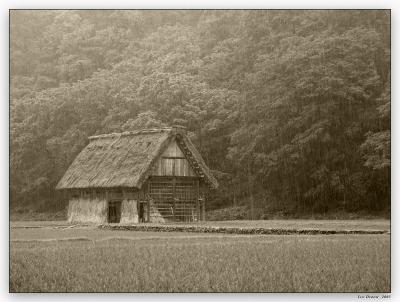 Old Barn*by Ian DeBow