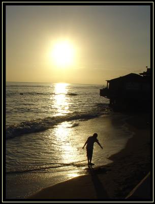 Maui Goldby parietalpenguin