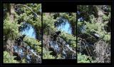 Say Something Foolish, Feel Shame,<br>Pretend it Never Happened*<br> by mlynn