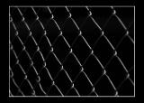 Fenced in Lines by Mike Ezell