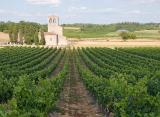 The vineyard behind the church<br>by Moti