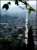 Hollywood Boulevard from Prospect Walk (53580)<br>by DM Watson