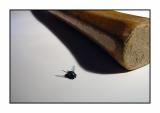 Fly Off the Handle*