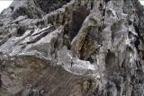 Wooden textures