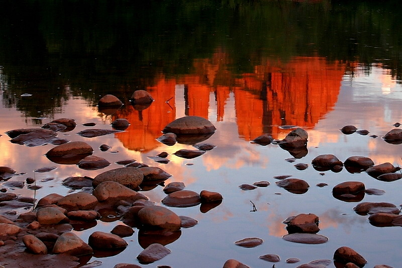 Summer Reflection