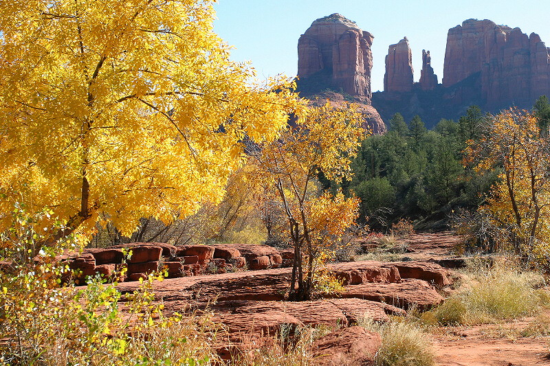 Fall Colors at Red Rock Crossing