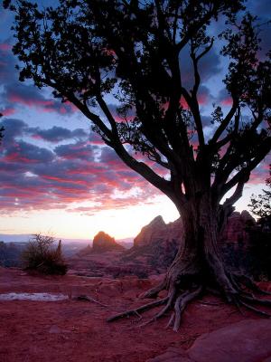 Schnebly Hill Sunset, 2004