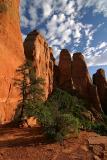Cathedral Rocks, Late Evening