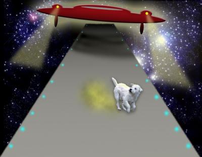 saucer-landing-loo-750WEB.jpg