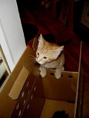 welcome home
