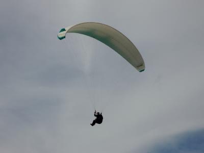 Paraglider OOC
