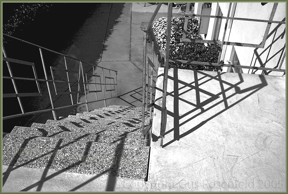 Recovery On The Deck<br>From The Shadows On The Steps