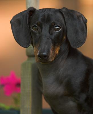 Max01.jpg