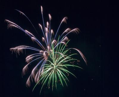 e12019.jpg