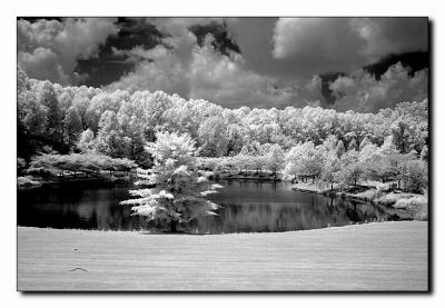Pond2.jpg