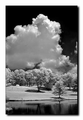 Meadow Cloud.jpg