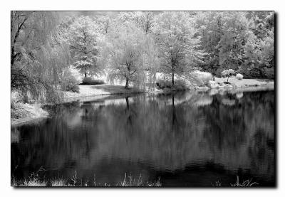 Reflection3.jpg