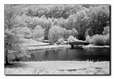 Lone Bridge.jpg