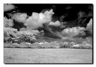 Meadow Clouds.jpg