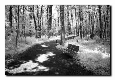 Meadow Bench.jpg