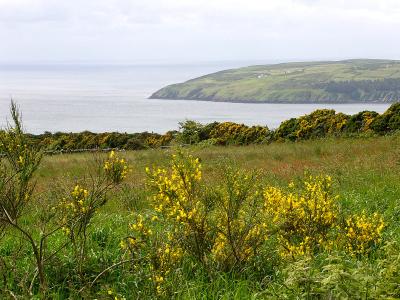 389 View from cottage.jpg