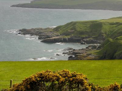 458 Maughold coast.jpg
