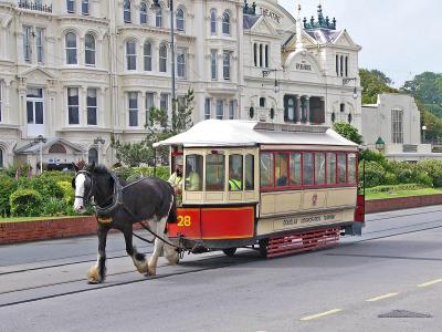 464 Horsedrawn tram.jpg
