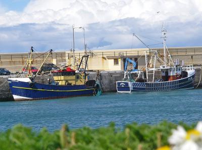 418 Trawlers in Peel harbour.jpg
