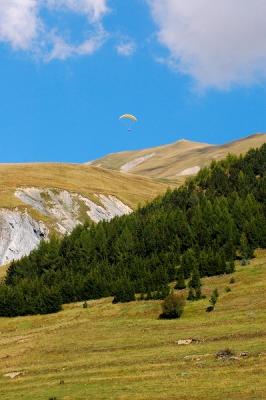 v3/07/449707/3/48656821.3.ParapenteDsc_7079.jpg