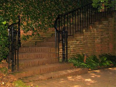 Brick stairs and Ivy