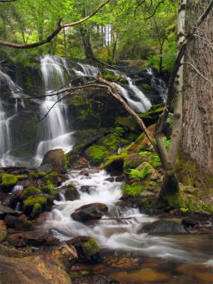 v3/07/489807/3/45148413.crystalcavewaterfall1copy.jpg