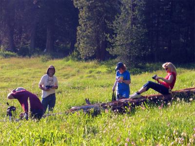 Photographers enjoying the meadow