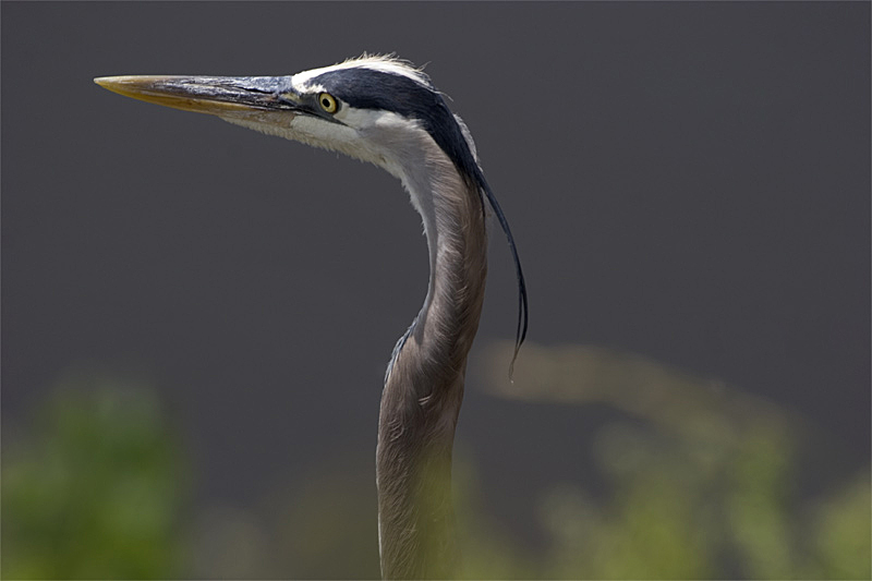not-croped.jpg