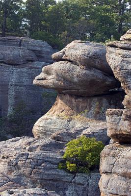 Garden-of-the-Gods.jpg