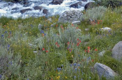 Rock Creek 7-25-05