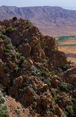 Laguna Mountains