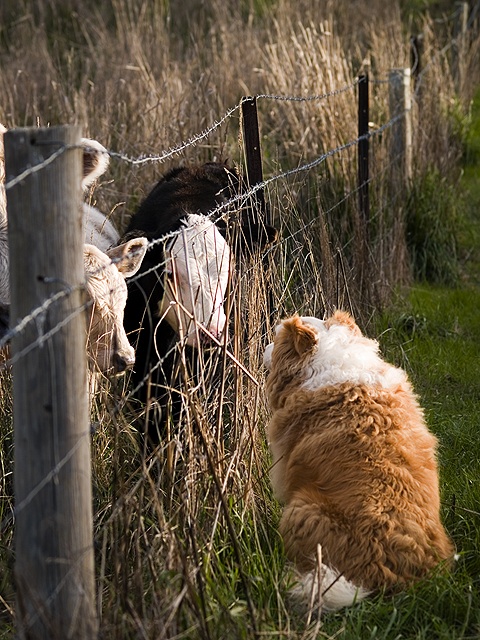 A meeting of the minds by Troy Pudney