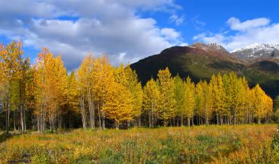 Alaska Autum by Drew