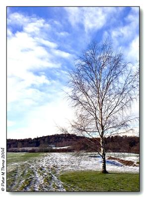 First sign of winter by Peter Thorup