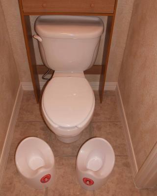 v3/07/527607/3/49161290.09112005bathroom10triplepottiesweb.jpg
