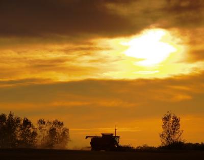 Combine at sunset by Mark Boenish