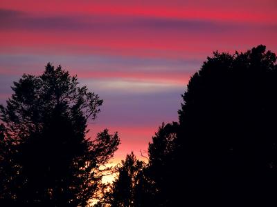 Sunset at High Park by Bob K.