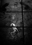C13 - 1st - footsteps by big Ga