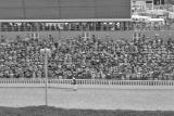 Crowds at Daytona