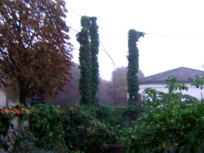 11/9 2005