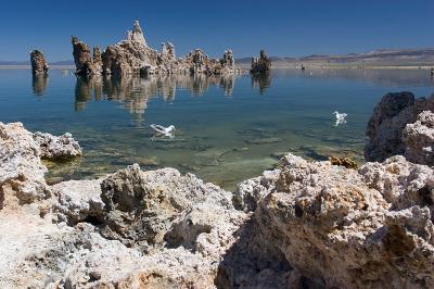 MonoLake008.jpg