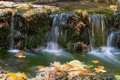 Yosemite025.jpg