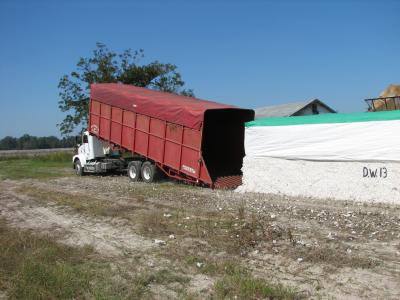 Cotton module truck in action