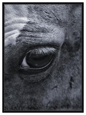 The Soulful Eye.jpg